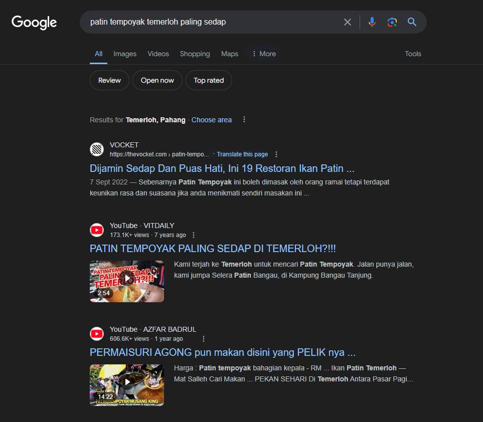 Temerloh Patin SERP Dominance